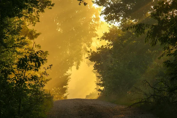 Atardecer Arroyo Pigu Provinz Buenos Aires — Stockfoto