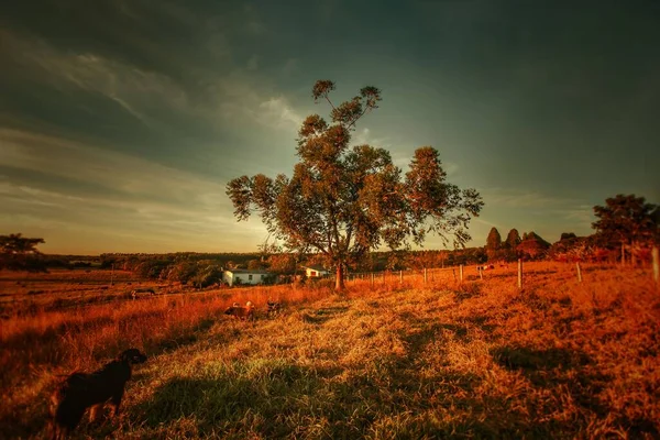 Zona Rural General Paz Crdoba Argentinien Atardecer — Stockfoto