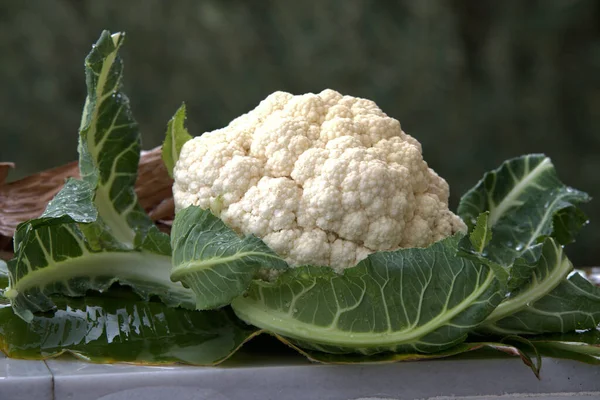 Fresh cauliflower with raindrops, on green leaves in nature.