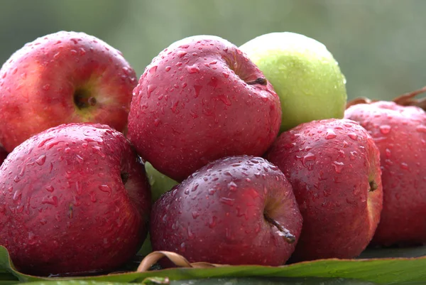 Manzanas Frescas Jugosas Con Gotas Lluvia Sobre Hojas Verdes Naturaleza Imagen de stock