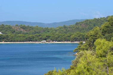 Skiathos, Yunanistan, 9 / 20 / 2020: Yunanistan 'ın Skiathos adasındaki Koukounaries plajının güzel kumlu plajı 