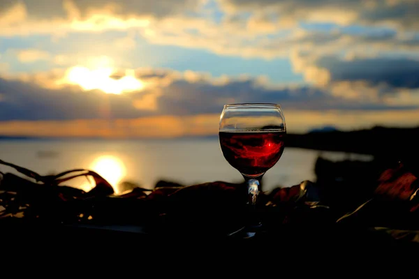 red wine in a glass at sunset,summer wine