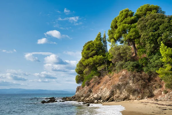 Koukounaries Playa Isla Skiathos Grecia Famous Playa Exótica Todo Mundo Imágenes de stock libres de derechos