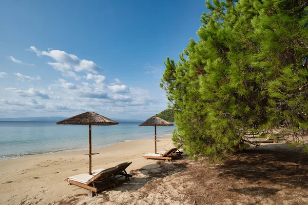 Koukounaries Playa Isla Skiathos Grecia Famous Playa Exótica Todo Mundo Imagen de archivo