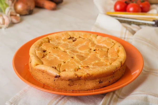 Fresh chicken and carrot pie — Stock Photo, Image