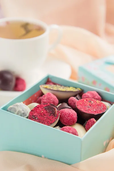 Handgemachte Schokoladenbonbons — Stockfoto