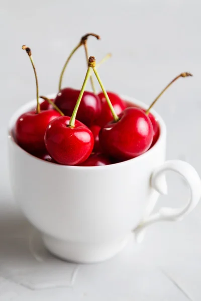 Cereza en taza blanca — Foto de Stock