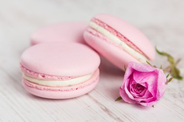 Rose, pastel renkli pastel pembe macaroons