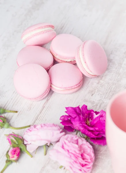 Pastel pink macaroons with rose — Stock Photo, Image