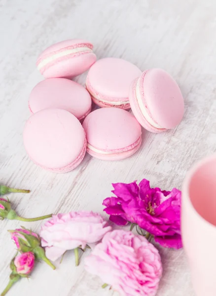 Pastelově růžové makaróny s růží — Stock fotografie