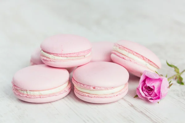 Pastel pink macaroons with rose, pastel colored, selective focus — Stock Photo, Image