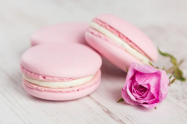 Pastel pink macaroons with rose, pastel colored — Stock Photo, Image