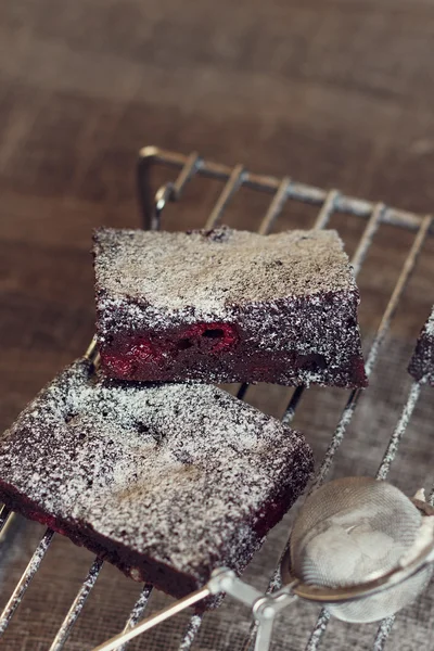 Bolinhos de chocolate com açúcar em pó — Fotografia de Stock