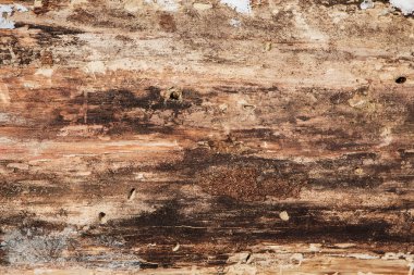 Grunge ahşap arka plan