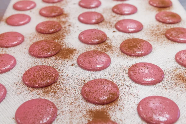 Macarons ready for baking — Stock Photo, Image