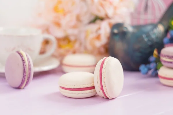 Pastel colored macaroons — Stock Photo, Image