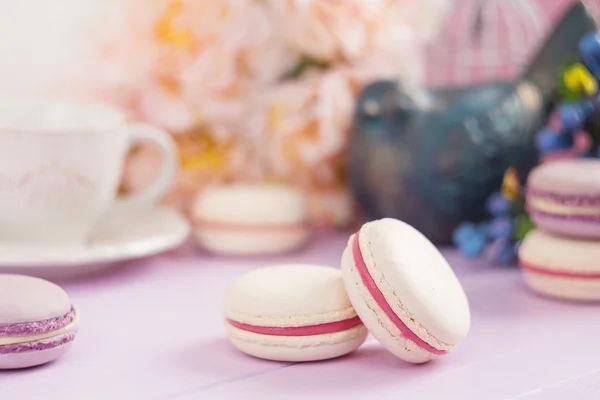 Pastel colored macaroons — Stock Photo, Image