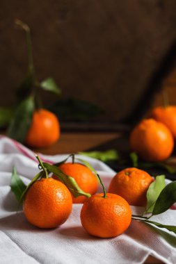 yeşil yaprakları ile mandalina