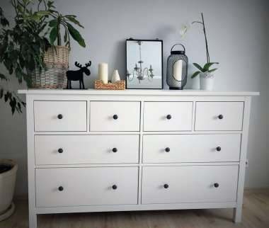 Pembe kurumuş güller yakın çekim