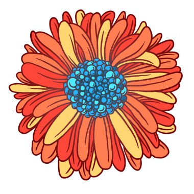 Renkli güzel çiçek gerber