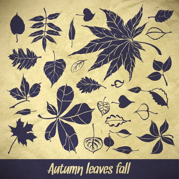 Hojas de otoño — Archivo Imágenes Vectoriales