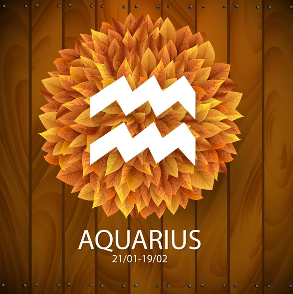 Aquarius horoscope white sign — Stock Vector