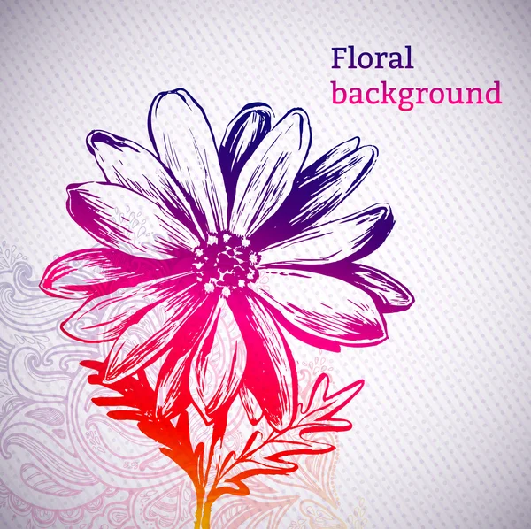 Fond de marguerite florale — Image vectorielle