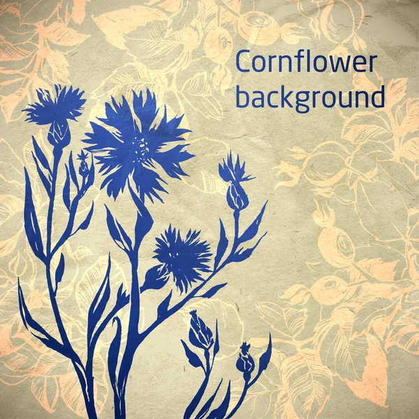 Ornamental cornflower flower card — Stock Vector