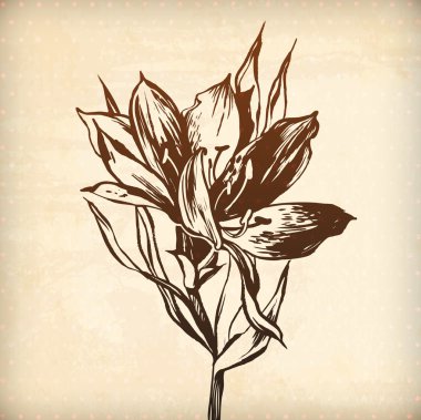 Süs lily çiçek kartı