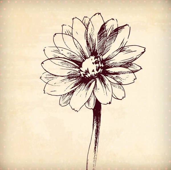Ornamental daisy flower card — Stock Vector