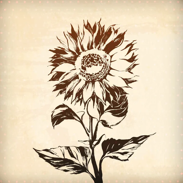 Ornamental sunflower flower card — Stock Vector