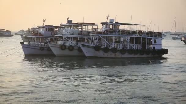 Bateaux de touristes et de pêcheurs près du port — Video