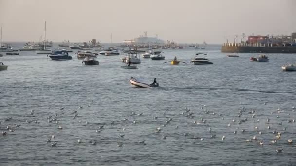 Tourist and fisher boats by the harbour — Stock Video