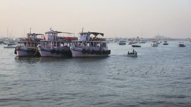 Barcos turísticos y pesqueros por el puerto — Vídeo de stock