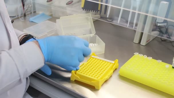 Лабораторное рабочее место для анализа ДНК — стоковое видео