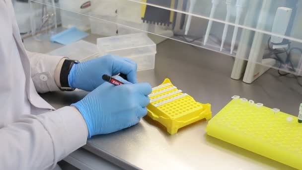 Laboratorium werkplaats voor dna-test — Stockvideo