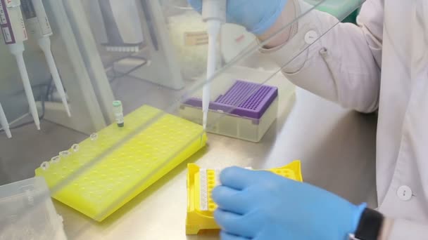 Luogo di lavoro del laboratorio per il test del DNA — Video Stock