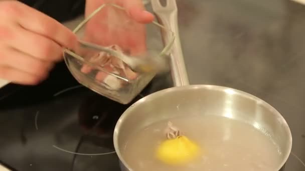 Boiling baby octopus — Stock Video