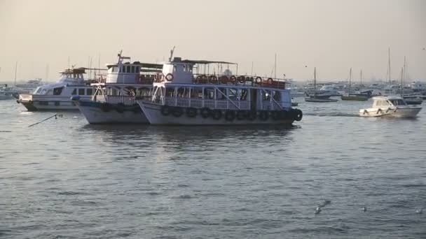 Tourist and fisher boats by the harbour — Stock Video