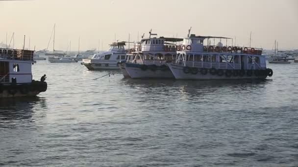 Barche turistiche e da pesca vicino al porto — Video Stock