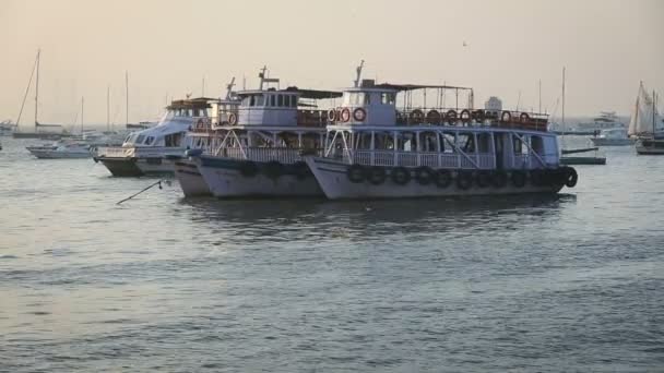 Tourist and fisher boats by the harbour — Stock Video