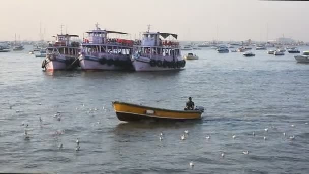 Туристические и рыбацкие лодки у гавани — стоковое видео