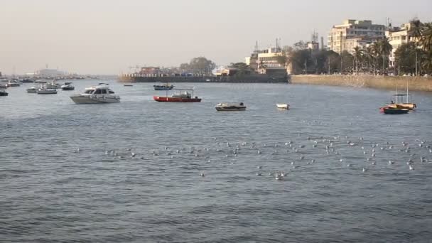 Bărci turistice și pescari lângă port — Videoclip de stoc