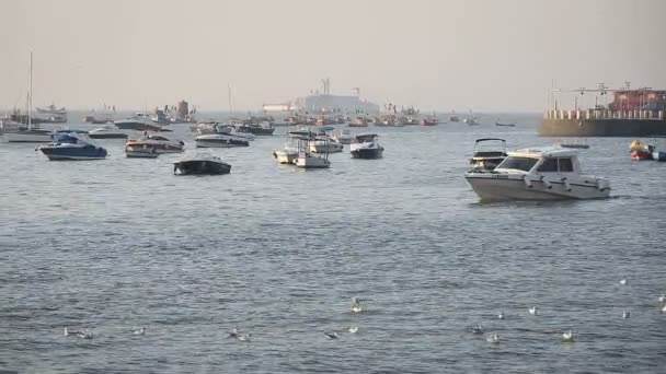 Barche turistiche e da pesca vicino al porto — Video Stock