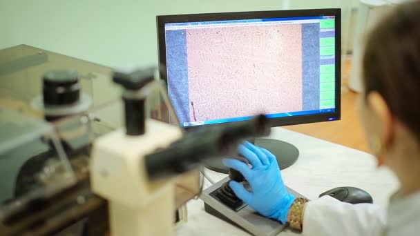 Cientista usando microscópio em laboratório — Vídeo de Stock