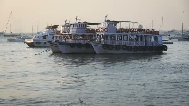 Tourist and fisher boats by the harbour — Stock Video