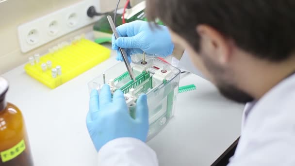 Laboratory workplace for DNA test — Stock Video