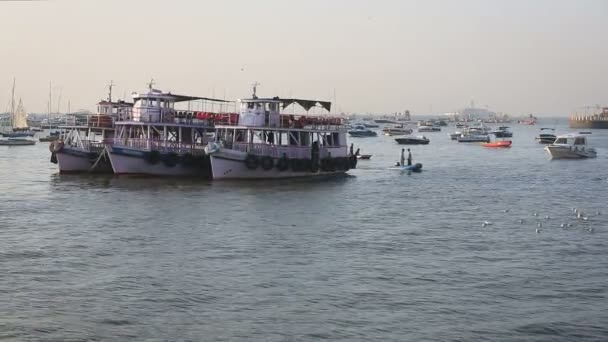 Tourist and fisher boats by the harbour — Stock Video