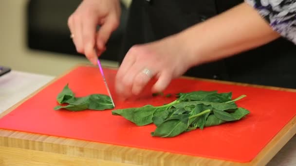 Chefs hands cutting spinach salad — Stock Video