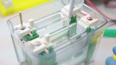 laboratuvar iş yeri için dna testi